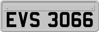 EVS3066