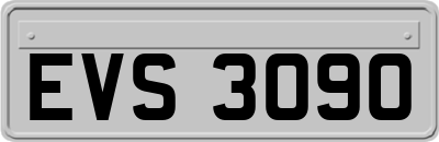 EVS3090
