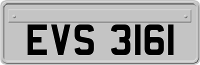 EVS3161