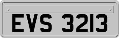 EVS3213