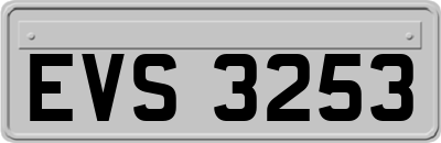 EVS3253