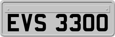EVS3300
