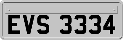 EVS3334
