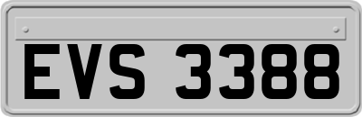 EVS3388