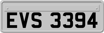 EVS3394