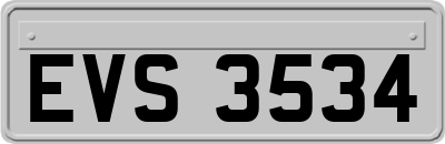 EVS3534