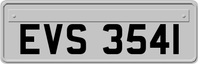 EVS3541