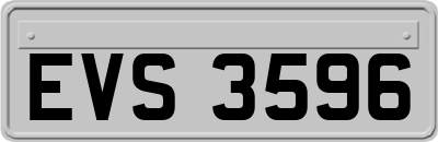 EVS3596