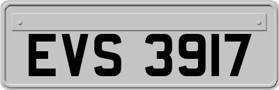 EVS3917