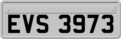 EVS3973