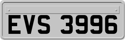 EVS3996