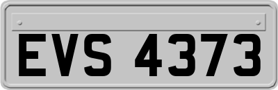 EVS4373