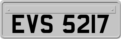 EVS5217