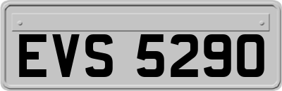 EVS5290