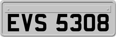 EVS5308
