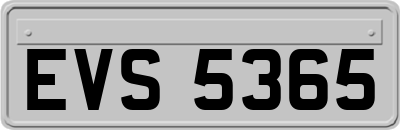 EVS5365