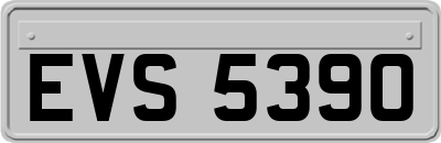 EVS5390