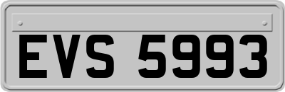 EVS5993