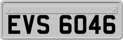 EVS6046