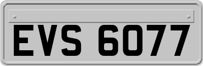 EVS6077