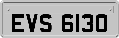 EVS6130