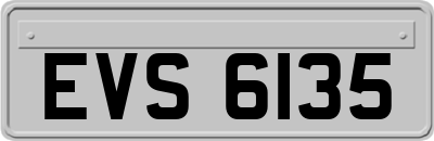 EVS6135