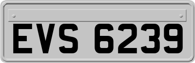 EVS6239