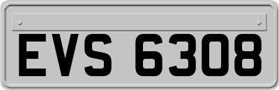 EVS6308