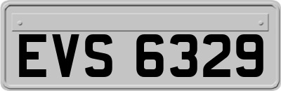 EVS6329