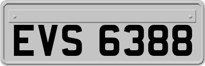 EVS6388