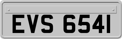 EVS6541