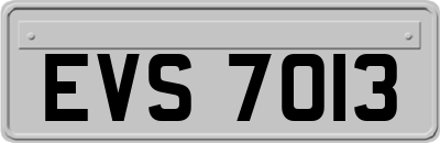 EVS7013