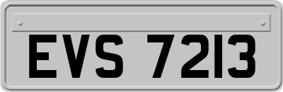 EVS7213