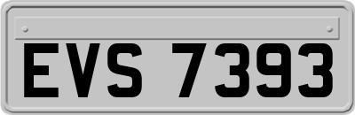 EVS7393