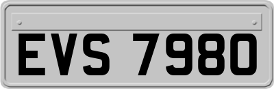 EVS7980