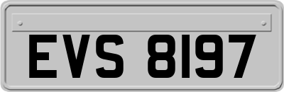 EVS8197