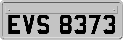 EVS8373