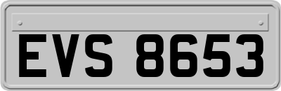 EVS8653