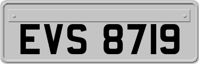 EVS8719