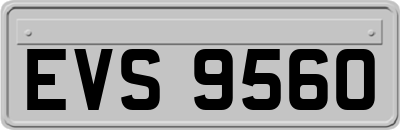 EVS9560