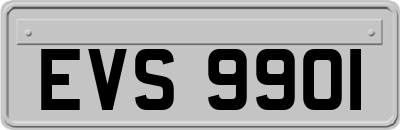EVS9901