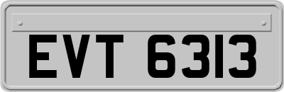 EVT6313