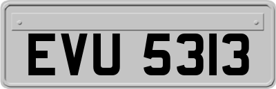 EVU5313
