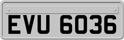 EVU6036