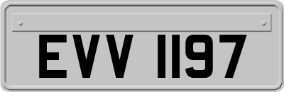 EVV1197