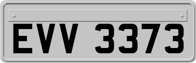 EVV3373