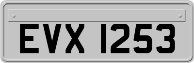 EVX1253