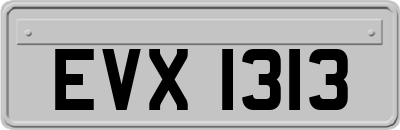 EVX1313