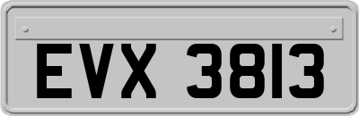 EVX3813