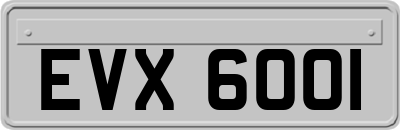 EVX6001